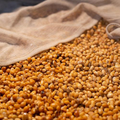 Natural Brown Rice Miso　自然栽培玄米麹味噌 500g