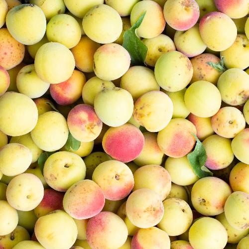 Natural Umeboshi 　自然栽培天日塩梅干し200g