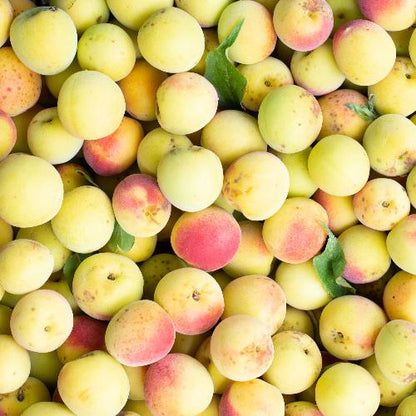 Natural Umeboshi 　自然栽培天日塩梅干し200g